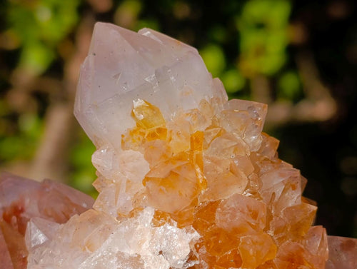 Natural Cabinet Sized Spirit Quartz Clusters x 3 From Boekenhouthoek, South Africa - Toprock Gemstones and Minerals 