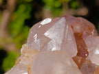 Natural Cabinet Sized Spirit Quartz Clusters x 3 From Boekenhouthoek, South Africa - Toprock Gemstones and Minerals 