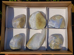 Polished Blue Lace Agate Standing Display Pieces x 6 From Nsanje, Malawi - Toprock Gemstones and Minerals 