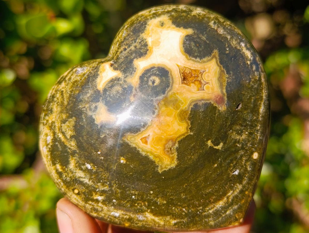 Polished Large Ocean Jasper Hearts x 6 From Northwest Coast, Madagascar - Toprock Gemstones and Minerals 