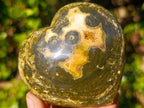 Polished Large Ocean Jasper Hearts x 6 From Northwest Coast, Madagascar - Toprock Gemstones and Minerals 