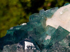 Natural Cabinet Sized Green Cubic Fluorite Specimens x 2 From Mandrosonoro, Madagascar - Toprock Gemstones and Minerals 