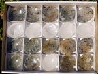 Polished Clear Quartz and Girasol Rock Crystal with Epidote Inclusions Worry Stones x 20 From Madagascar - Toprock Gemstones and Minerals 