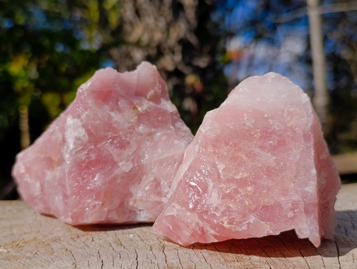 Natural Cobbed Rose Quartz Specimens x 12 From Northern Cape, South Africa - Toprock Gemstones and Minerals 