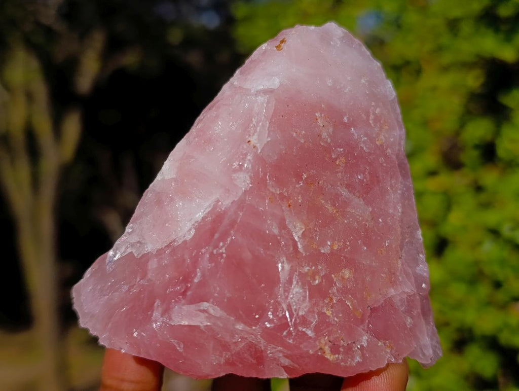 Natural Cobbed Rose Quartz Specimens x 12 From Northern Cape, South Africa - Toprock Gemstones and Minerals 