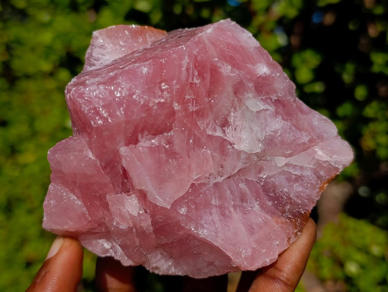 Natural Cobbed Rose Quartz Specimens x 12 From Northern Cape, South Africa - Toprock Gemstones and Minerals 
