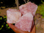 Natural Cobbed Rose Quartz Specimens x 12 From Northern Cape, South Africa - Toprock Gemstones and Minerals 
