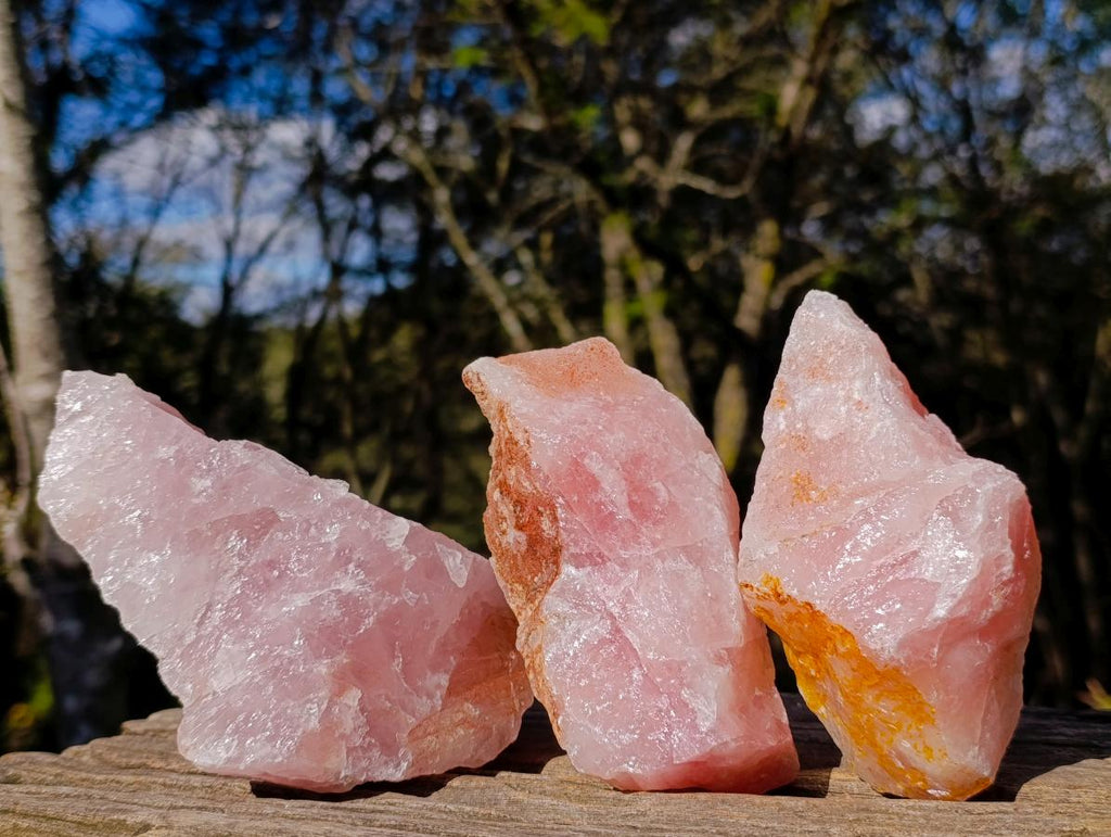 Natural Cobbed Rose Quartz Specimens x 12 From Northern Cape, South Africa - Toprock Gemstones and Minerals 