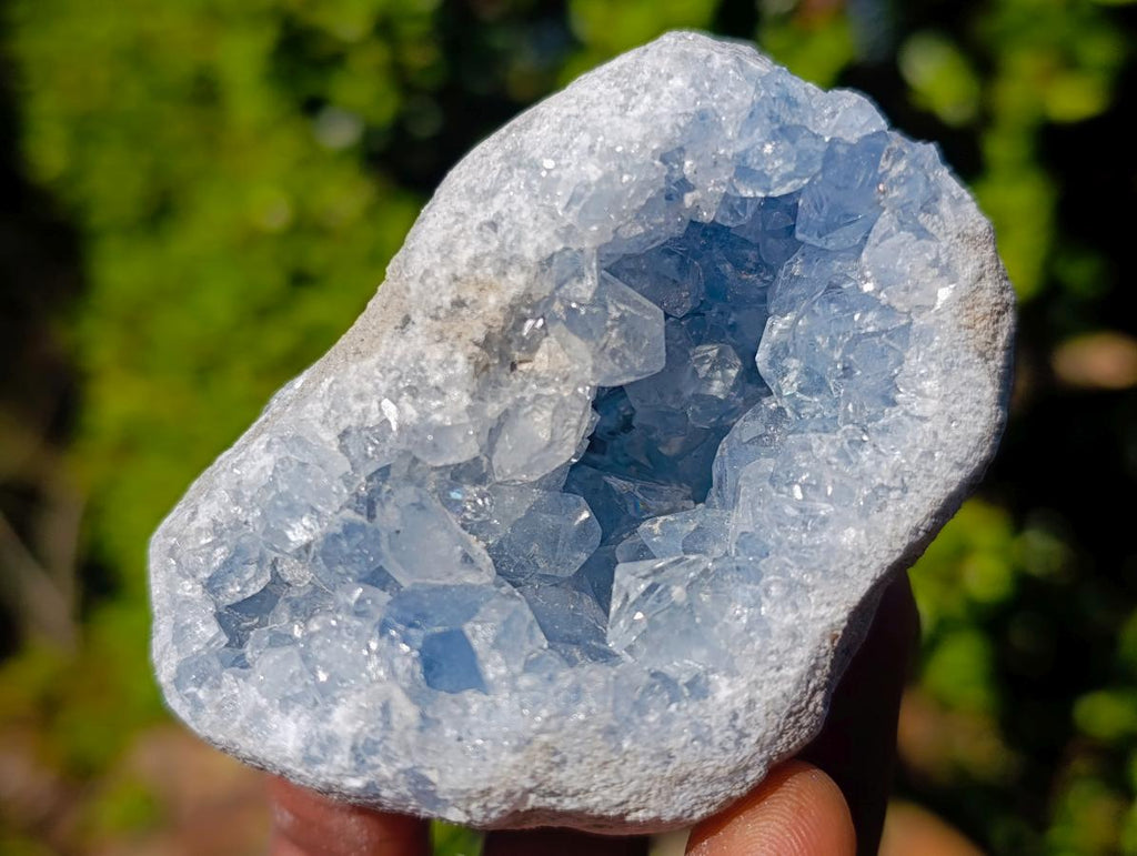 Natural Blue Celestite Specimens x 22 From Sakoany, Madagascar - Toprock Gemstones and Minerals 