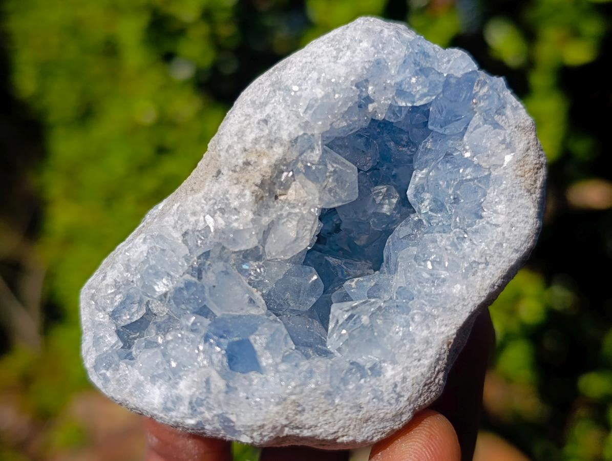 Natural Blue Celestite Specimens x 22 From Sakoany, Madagascar - Toprock Gemstones and Minerals 