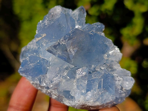 Natural Blue Celestite Specimens x 22 From Sakoany, Madagascar - Toprock Gemstones and Minerals 