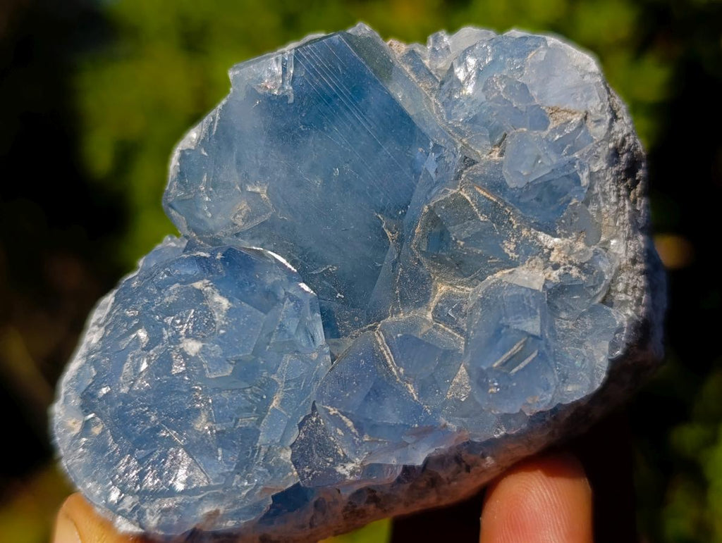 Natural Blue Celestite Specimens x 22 From Sakoany, Madagascar - Toprock Gemstones and Minerals 