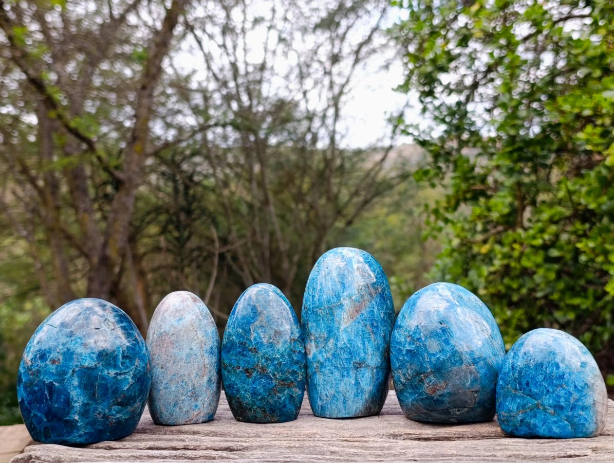 Polished Blue Apatite Standing Display Pieces x 6 From Betroka, Madagascar - Toprock Gemstones and Minerals 