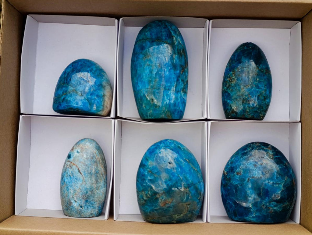 Polished Blue Apatite Standing Display Pieces x 6 From Betroka, Madagascar - Toprock Gemstones and Minerals 