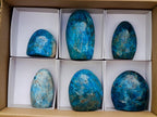 Polished Blue Apatite Standing Display Pieces x 6 From Betroka, Madagascar - Toprock Gemstones and Minerals 