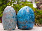 Polished Blue Apatite Standing Display Pieces x 6 From Betroka, Madagascar - Toprock Gemstones and Minerals 