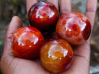 Polished Small Carnelian Agate Gemstone Spheres x 20 From Madagascar - Toprock Gemstones and Minerals 