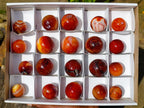 Polished Small Carnelian Agate Gemstone Spheres x 20 From Madagascar - Toprock Gemstones and Minerals 