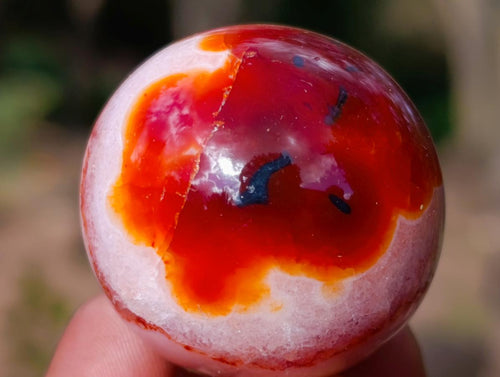 Polished Small Carnelian Agate Gemstone Spheres x 20 From Madagascar - Toprock Gemstones and Minerals 