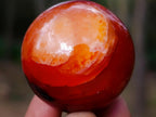 Polished Small Carnelian Agate Gemstone Spheres x 20 From Madagascar - Toprock Gemstones and Minerals 