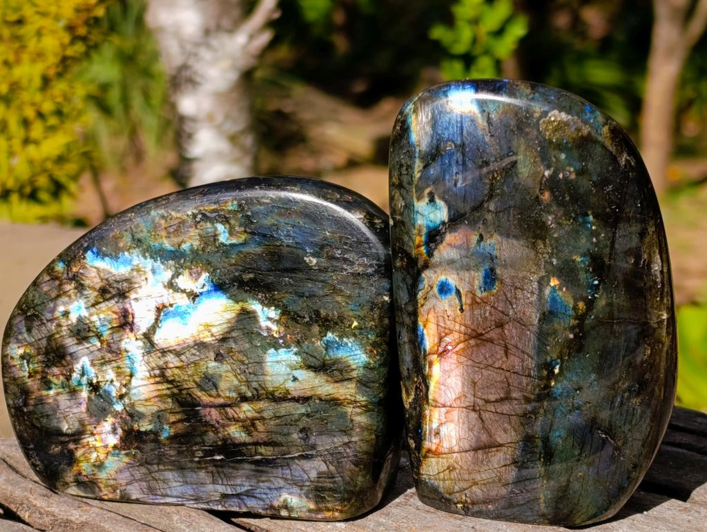 Polished Labradorite Standing Display Pieces x 4 From Madagascar - Toprock Gemstones and Minerals 