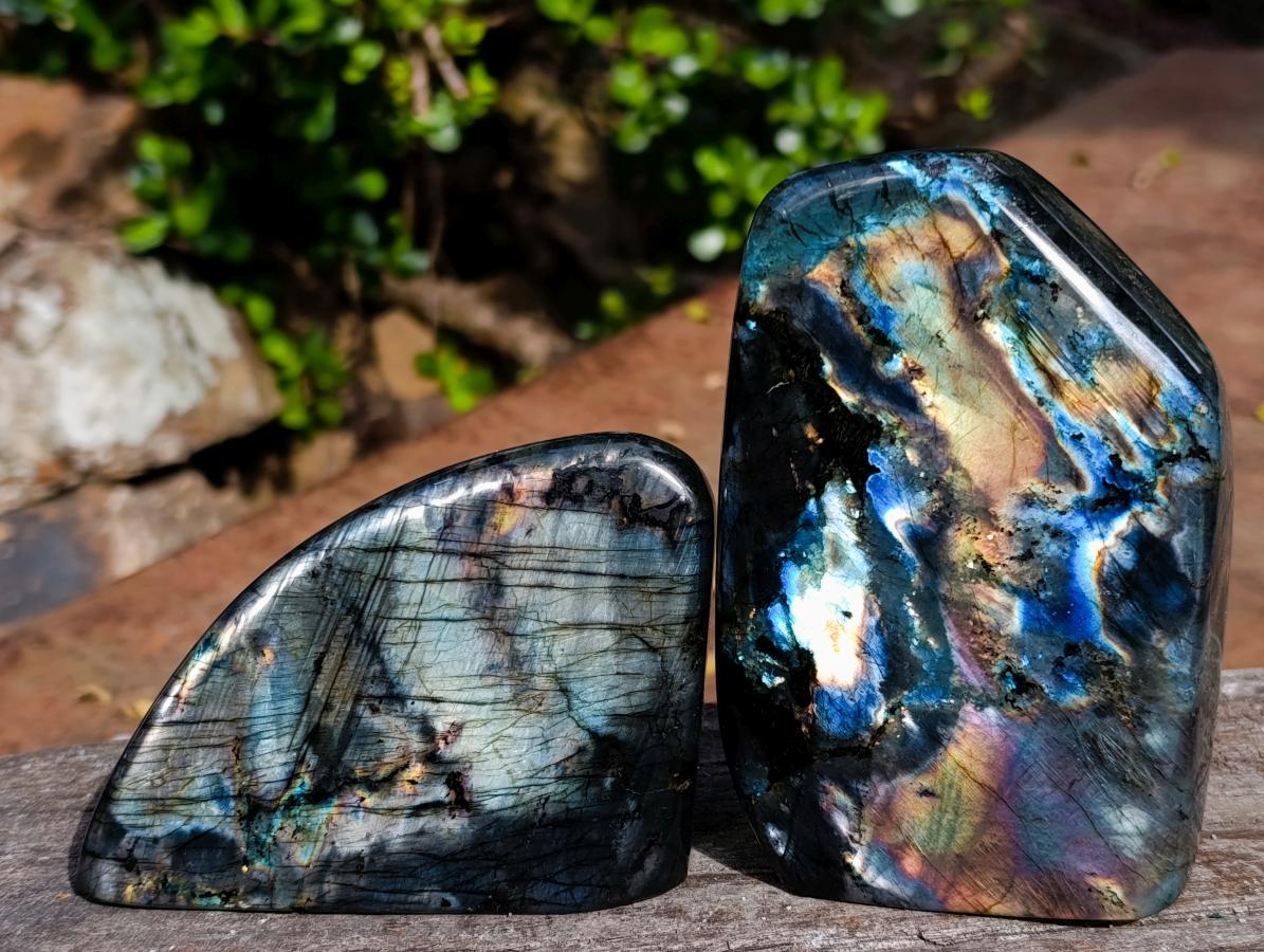 Polished Labradorite Standing Display Pieces x 4 From Madagascar - Toprock Gemstones and Minerals 