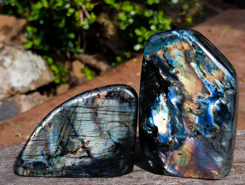 Polished Labradorite Standing Display Pieces x 4 From Madagascar - Toprock Gemstones and Minerals 
