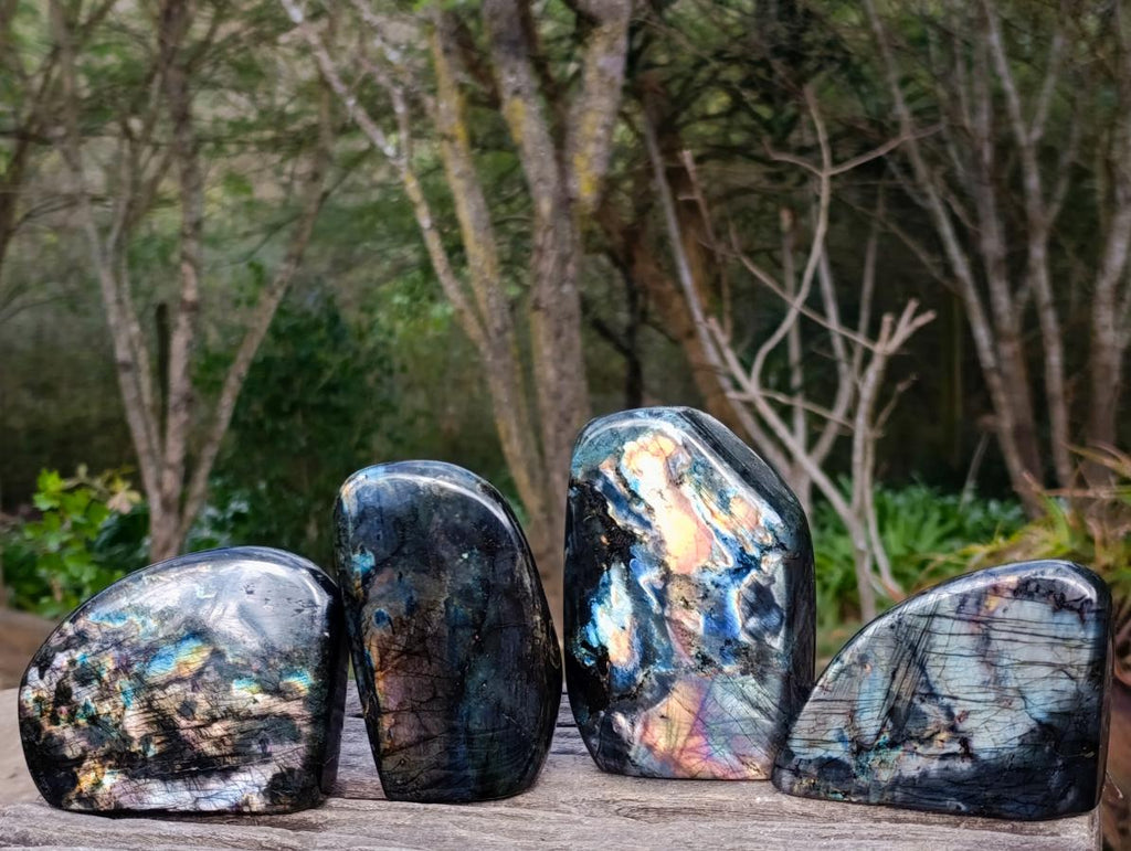 Polished Labradorite Standing Display Pieces x 4 From Madagascar - Toprock Gemstones and Minerals 