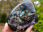 Polished Labradorite Standing Display Pieces x 4 From Madagascar - Toprock Gemstones and Minerals 