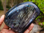Polished Labradorite Standing Display Pieces x 4 From Madagascar - Toprock Gemstones and Minerals 