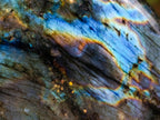 Polished Labradorite Standing Display Pieces x 4 From Madagascar - Toprock Gemstones and Minerals 