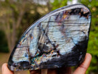 Polished Labradorite Standing Display Pieces x 4 From Madagascar - Toprock Gemstones and Minerals 