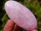 Polished Gemmy Rose Quartz Palm Stones x 35 From Madagascar - Toprock Gemstones and Minerals 