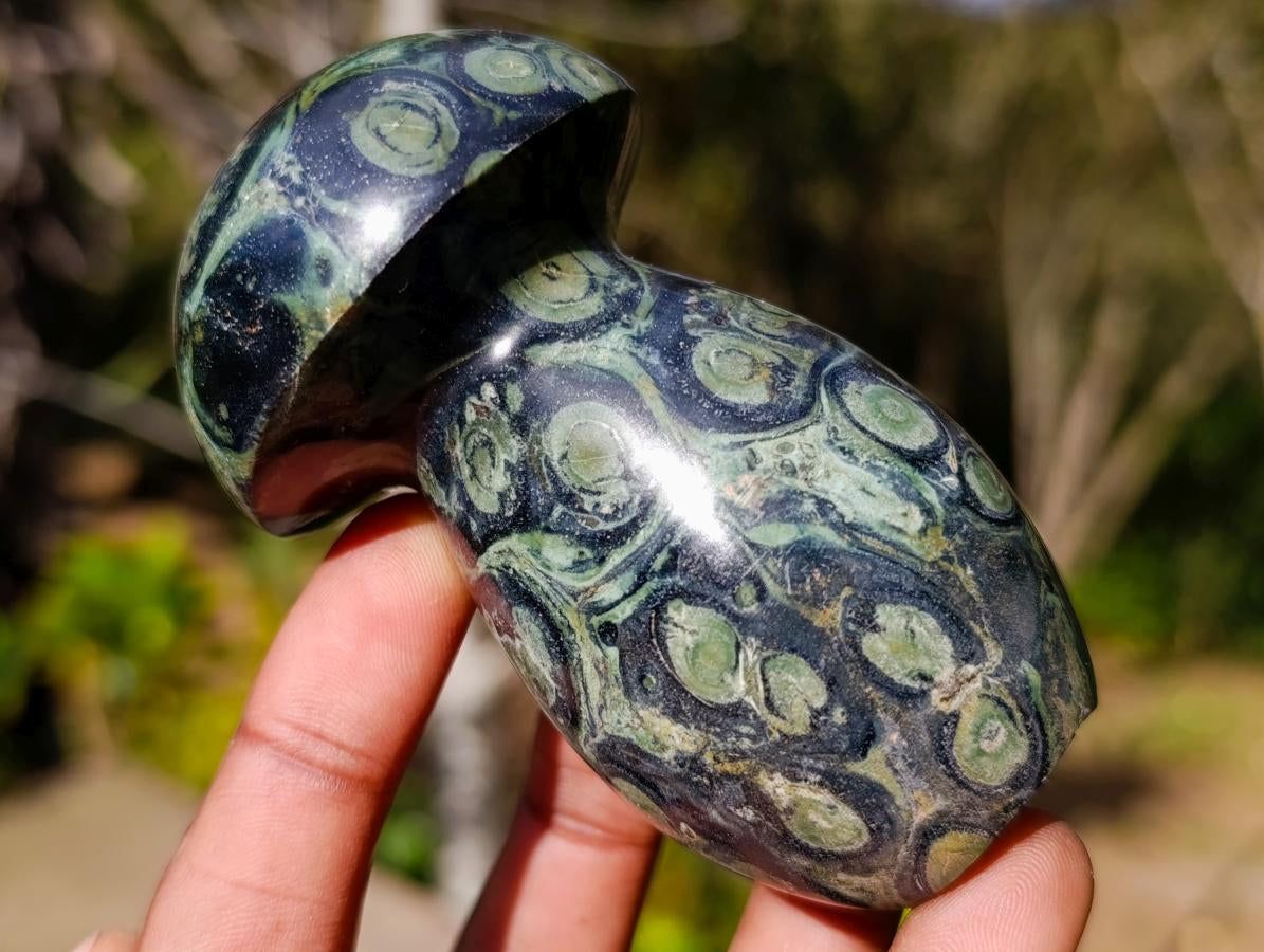 Polished Stromatolite Mushrooms x 12 From Katsepy, Madagascar - Toprock Gemstones and Minerals 