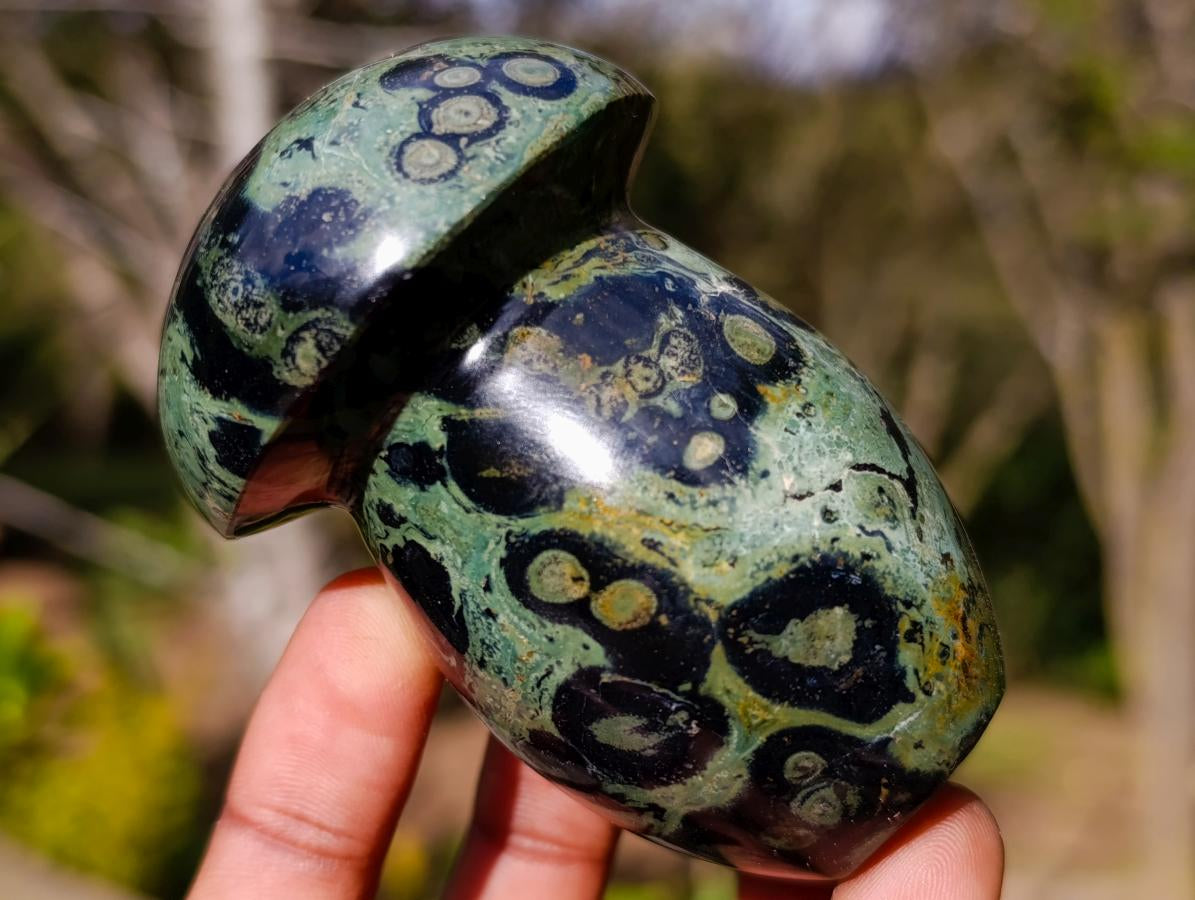 Polished Stromatolite Mushrooms x 12 From Katsepy, Madagascar - Toprock Gemstones and Minerals 