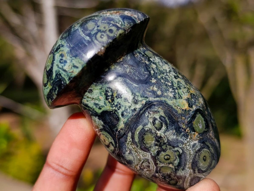 Polished Stromatolite Mushrooms x 12 From Katsepy, Madagascar - Toprock Gemstones and Minerals 