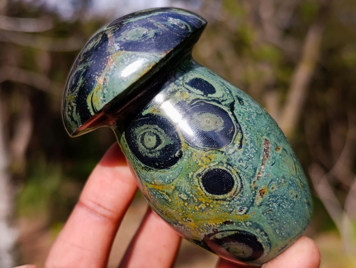 Polished Stromatolite Mushrooms x 12 From Katsepy, Madagascar - Toprock Gemstones and Minerals 