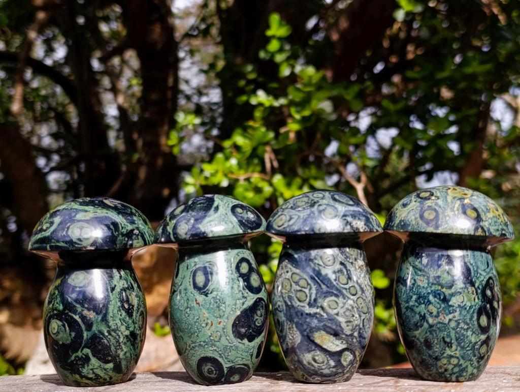 Polished Stromatolite Mushrooms x 12 From Katsepy, Madagascar - Toprock Gemstones and Minerals 