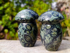 Polished Stromatolite Mushrooms x 12 From Katsepy, Madagascar - Toprock Gemstones and Minerals 