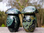 Polished Stromatolite Mushrooms x 12 From Katsepy, Madagascar - Toprock Gemstones and Minerals 