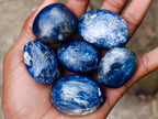 Polished Dumortierite Free Forms x 24 From Madagascar - Toprock Gemstones and Minerals 