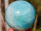Polished Amazonite Spheres x 6 From Madagascar - Toprock Gemstones and Minerals 