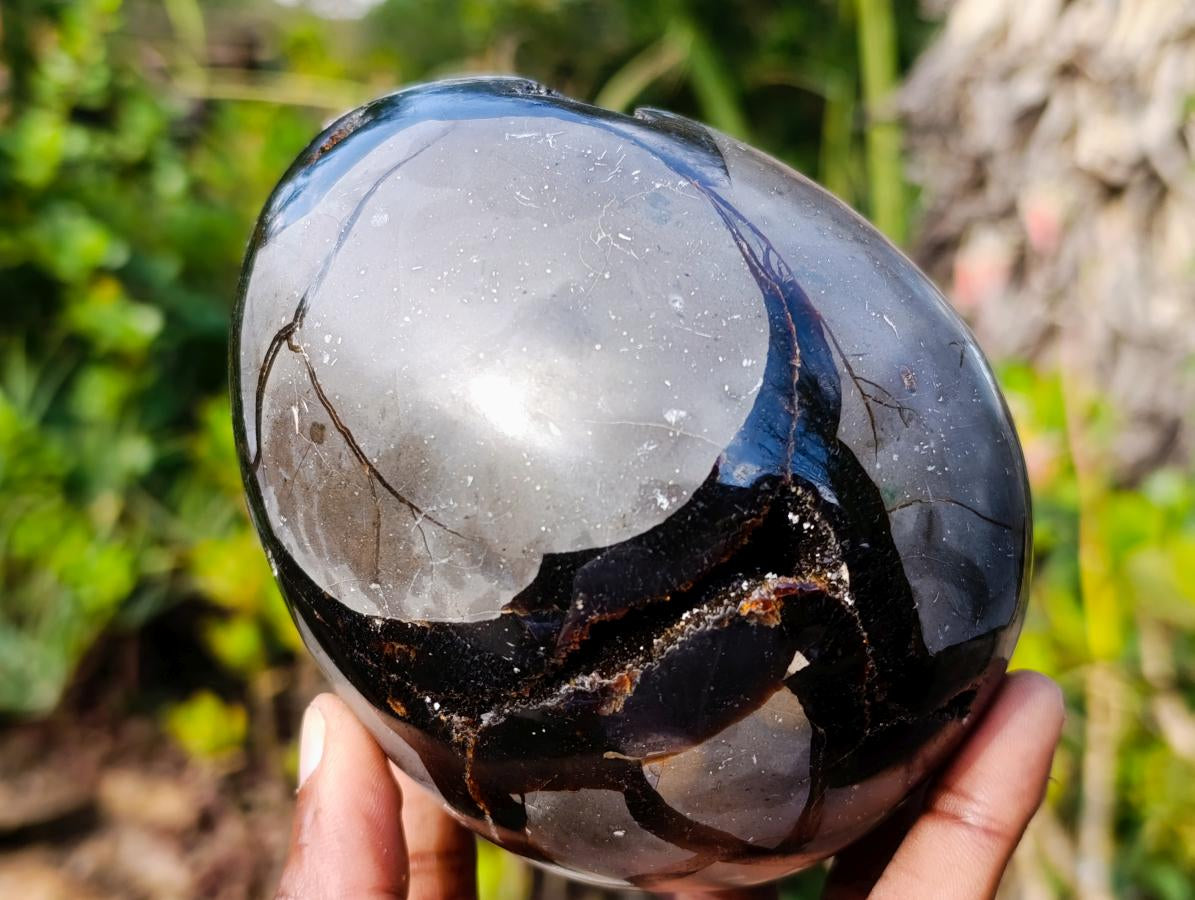 Polished Septerye Sauvage "Dragons Egg" Geodes x 2 From Mahajanga, Madagascar - Toprock Gemstones and Minerals 
