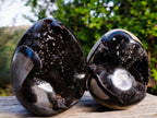 Polished Septerye Sauvage "Dragons Egg" Geodes x 2 From Mahajanga, Madagascar - Toprock Gemstones and Minerals 