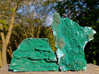 Natural Large Botryoidal Malacolla Specimens x 2 From Kulukuluku, Congo - Toprock Gemstones and Minerals 