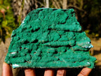 Natural Large Botryoidal Malacolla Specimens x 2 From Kulukuluku, Congo - Toprock Gemstones and Minerals 