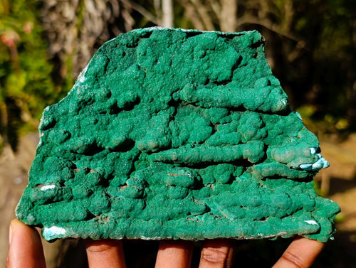 Natural Large Botryoidal Malacolla Specimens x 2 From Kulukuluku, Congo - Toprock Gemstones and Minerals 