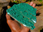 Natural Large Botryoidal Malacolla Specimens x 2 From Kulukuluku, Congo - Toprock Gemstones and Minerals 