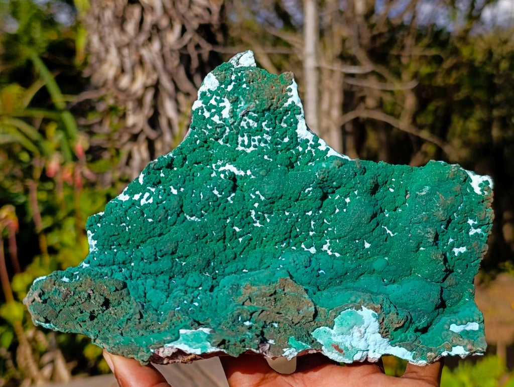 Natural Large Botryoidal Malacolla Specimens x 2 From Kulukuluku, Congo - Toprock Gemstones and Minerals 