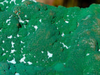 Natural Large Botryoidal Malacolla Specimens x 2 From Kulukuluku, Congo - Toprock Gemstones and Minerals 